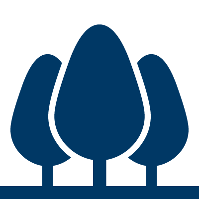 Tree seedlings